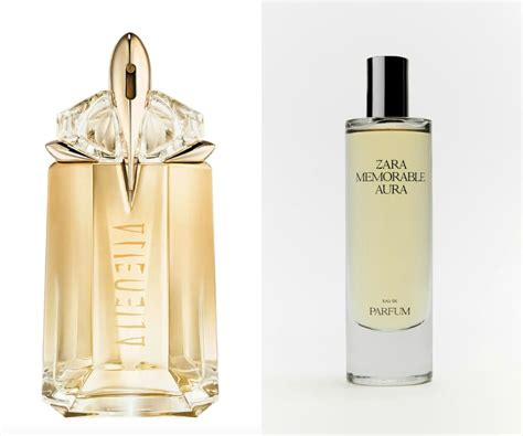 best luxury perfume dupes|best zara perfume dupes.